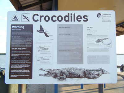 australie crocodile