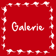 Allez à la page des galeries